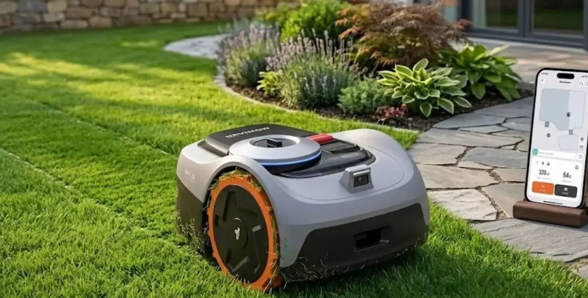Segway en location